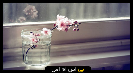 اس ام اس جدید