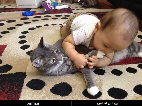 خفن ترین جوک ها و استاتوس , خفن ترین استاتوس های سال 2015