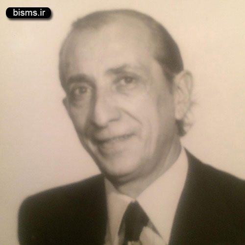 bisms.irdariush-asadzadeh (2)