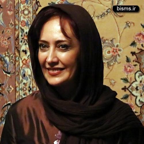 عکس های بازیگران در مراسم فرش قرمز نمایش فصل شکار بادبادک ها