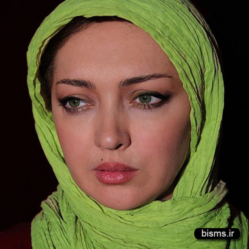 نظر نیکی کریمی درباره انرژی هسته ای