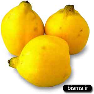 خواص برگ به چیست خواص برگ به چیست